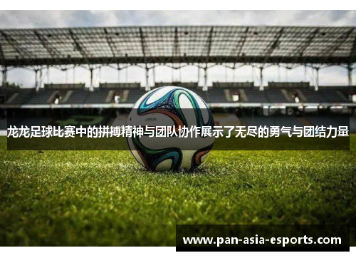 龙龙足球比赛中的拼搏精神与团队协作展示了无尽的勇气与团结力量